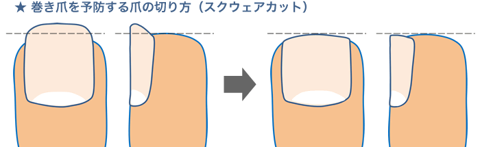 square_cut.gif