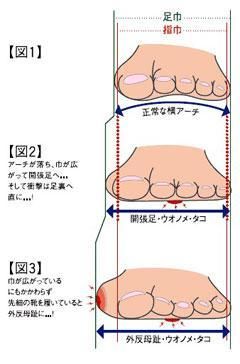 o0240036413647392293.jpg